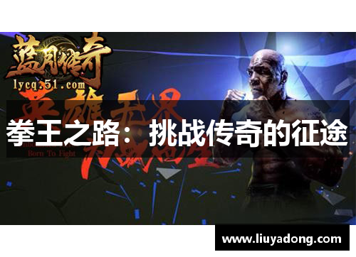 拳王之路：挑战传奇的征途